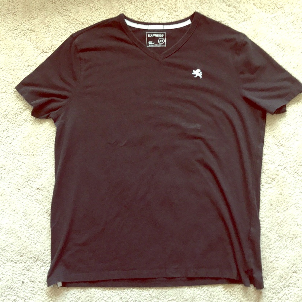 Express Lion Mens V-Neck